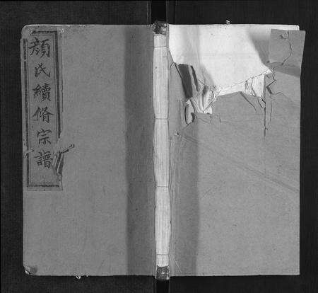 江西颜氏族谱-颜氏宗谱[55卷,首末各1卷].pdf电子版缩略图