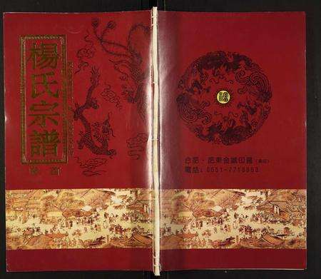 安徽杨氏族谱-杨氏宗谱.pdf电子版缩略图