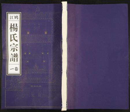 安徽杨氏族谱-杨氏宗谱.pdf电子版缩略图