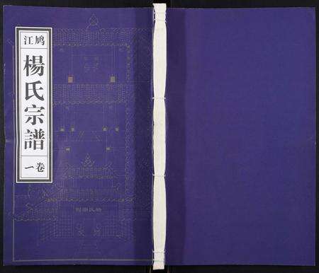 安徽杨氏族谱-杨氏宗谱[31卷].pdf电子版缩略图