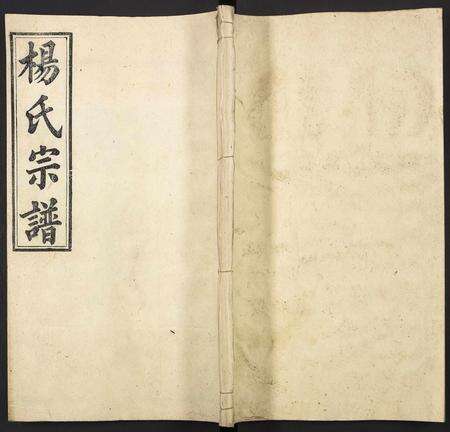 安徽杨氏族谱-潜阳杨氏宗谱.pdf电子版缩略图