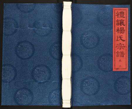 安徽杨氏族谱-礼让杨氏宗谱.pdf电子版缩略图