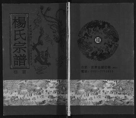 安徽杨氏族谱-杨氏宗谱.pdf电子版缩略图