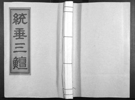 江西杨氏族谱-杨氏大成族谱.pdf电子版缩略图