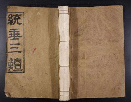 江西杨氏族谱-杨氏大成族谱[不分卷].pdf电子版缩略图