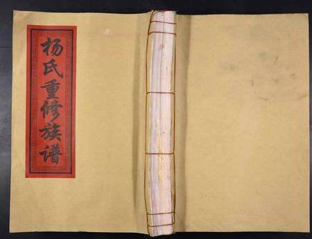 江西杨氏族谱-杨氏重修族谱[不分卷].pdf电子版缩略图