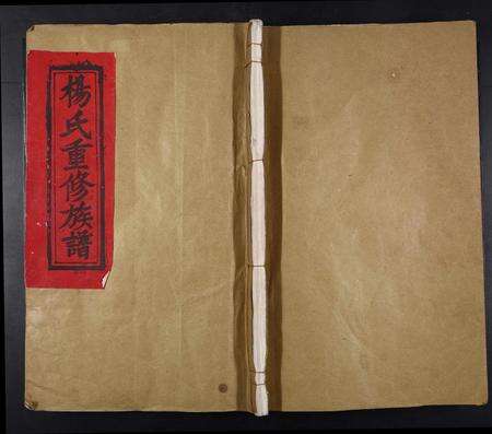 江西杨氏族谱-杨氏重修族谱[不分卷].pdf电子版缩略图