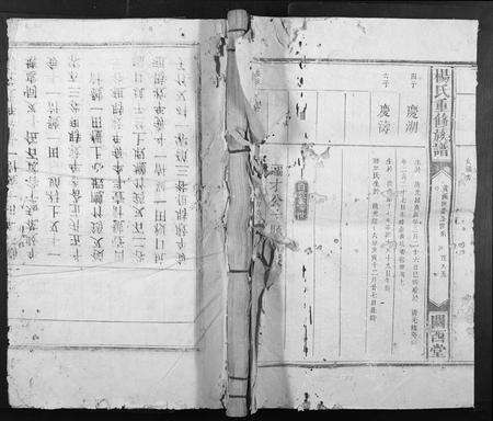 江西杨氏族谱-杨氏重修族谱[不分卷].pdf电子版缩略图