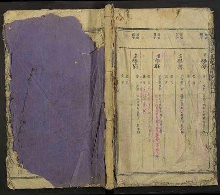 江西杨氏族谱-锦滩杨氏宗谱 [残卷].pdf电子版缩略图