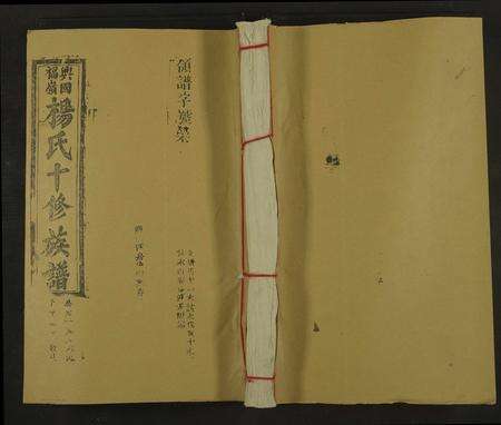 江西杨氏族谱-兴国福岭杨氏十修族谱[11本].pdf电子版缩略图