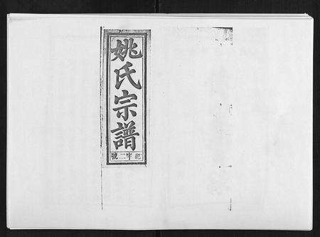 安徽姚氏族谱-姚氏宗谱 [25卷末1卷].pdf电子版缩略图