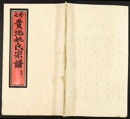 安徽姚氏族谱-贵池姚氏宗谱.pdf电子版缩略图