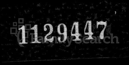 安徽叶氏族谱-大缘叶氏族谱 [12卷, 含卷首末].pdf电子版缩略图