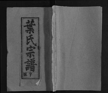 安徽叶氏族谱-叶氏族谱.pdf电子版缩略图