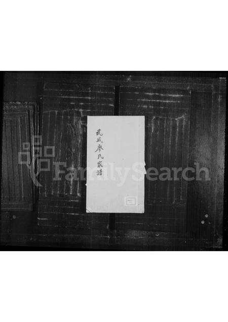 福建廖氏族谱-武威廖氏家谱.pdf电子版缩略图