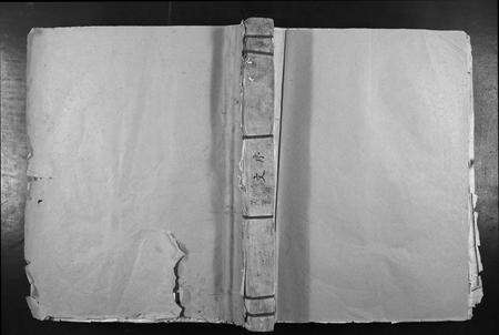 江西叶氏族谱-七星树下叶氏都督公裔谱牒.pdf电子版缩略图