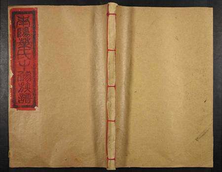 江西叶氏族谱-甯都南阳叶氏十修族谱.pdf电子版缩略图