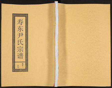 安徽尹氏族谱-尹氏宗谱.pdf电子版缩略图