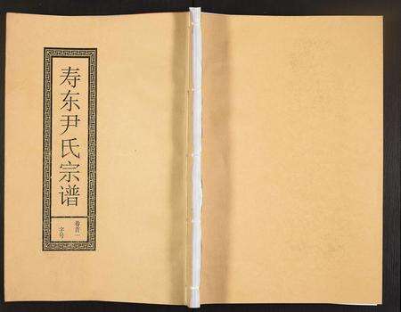 安徽尹氏族谱-尹氏宗谱.pdf电子版缩略图