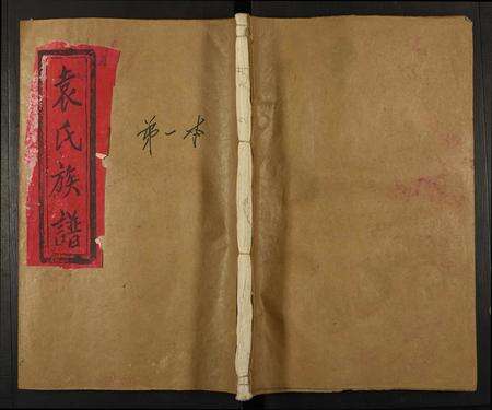 江西袁氏族谱-天井袁氏族谱.pdf电子版缩略图