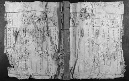 江西袁氏族谱-定南潭庆袁氏四修族谱.pdf电子版缩略图