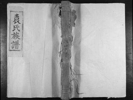 江西袁氏族谱-泰和城西后街袁氏族谱[不分卷].pdf电子版缩略图