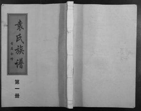 江西袁氏族谱-袁氏首届合修族谱.pdf电子版缩略图