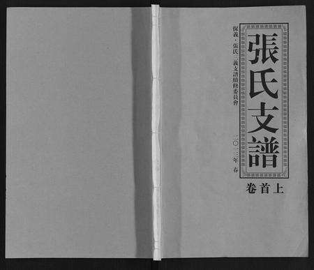 安徽张氏族谱-保义张氏三义支谱.pdf电子版缩略图