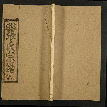 安徽张氏族谱-张氏宗谱.pdf电子版缩略图