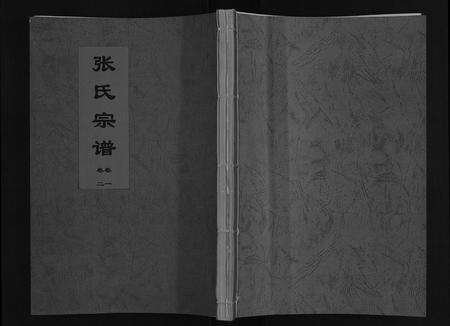 安徽张氏族谱-张氏宗谱[12卷].pdf电子版缩略图