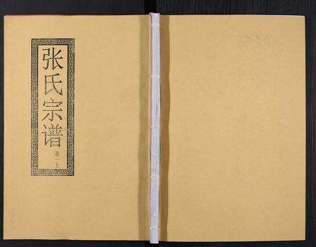 安徽张氏族谱-张氏宗谱[12卷].pdf电子版缩略图