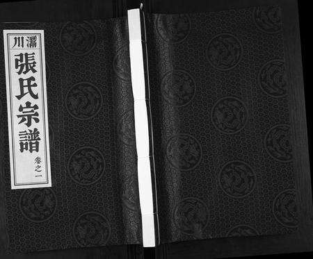 安徽张氏族谱-张氏宗谱[12卷].pdf电子版缩略图