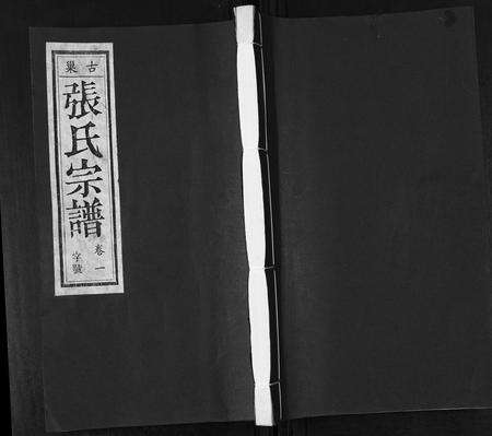 安徽张氏族谱-张氏宗谱[12卷].pdf电子版缩略图