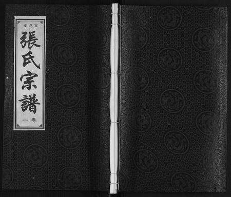 安徽张氏族谱-张氏宗谱[14卷].pdf电子版缩略图
