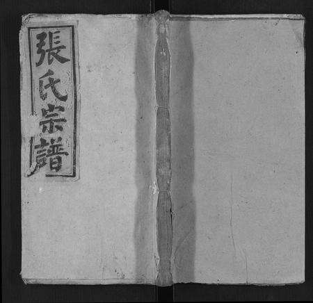 安徽张氏族谱-张氏宗谱[20卷首1卷].pdf电子版缩略图