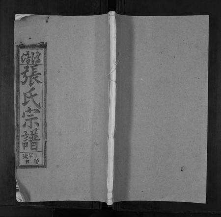 安徽张氏族谱-张氏宗谱[8卷首末各1卷].pdf电子版缩略图