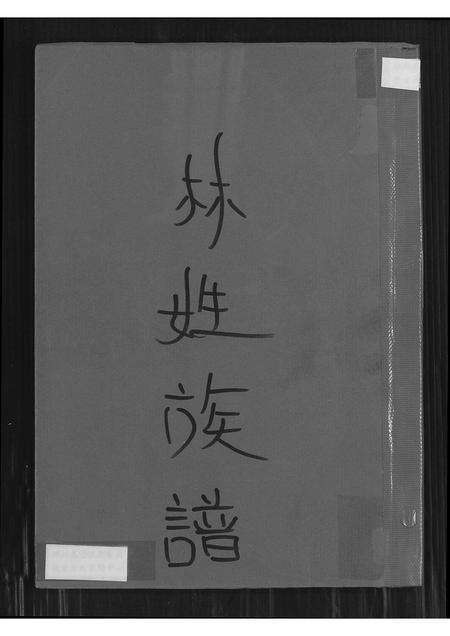 福建林氏族谱-林姓族谱.pdf电子版缩略图