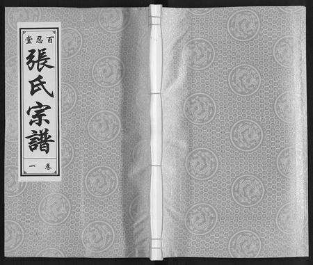安徽张氏族谱-张氏宗谱[9卷].pdf电子版缩略图