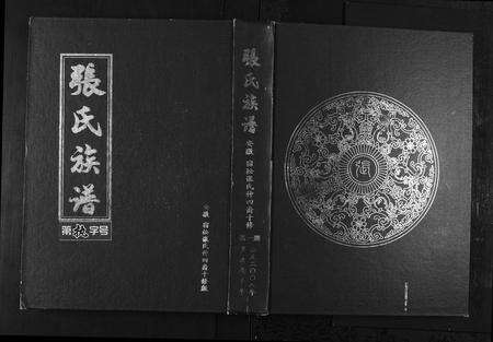 安徽张氏族谱-张氏族谱[25卷首4卷].pdf电子版缩略图