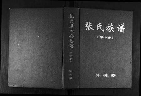 安徽张氏族谱-张氏道二公族谱.pdf电子版缩略图