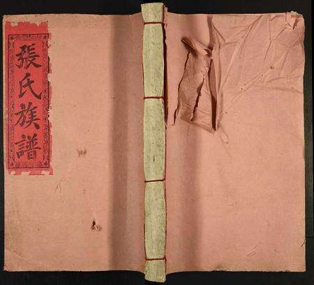 江西张氏族谱-信丰张福二公派七修族谱.pdf电子版缩略图