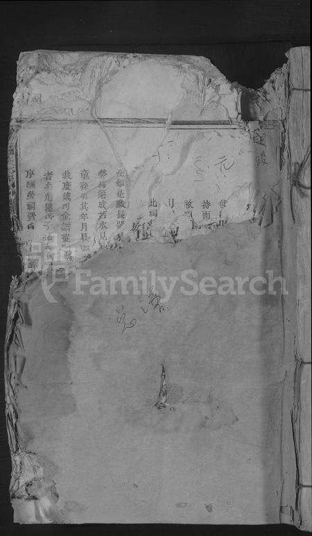 江西张氏族谱-城西张氏六修族谱 [不分卷].pdf电子版缩略图