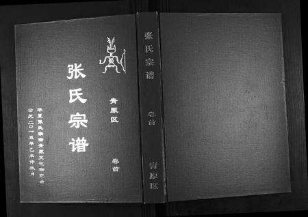 江西张氏族谱-张氏宗谱[12卷首1卷].pdf电子版缩略图