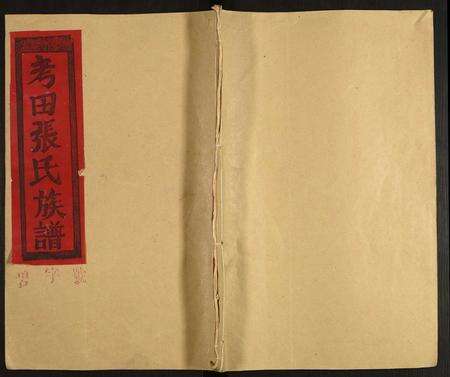 江西张氏族谱-张氏族谱.pdf电子版缩略图