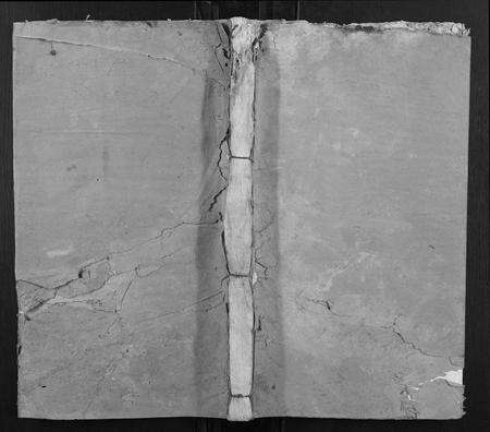 江西张氏族谱-张氏族谱.pdf电子版缩略图