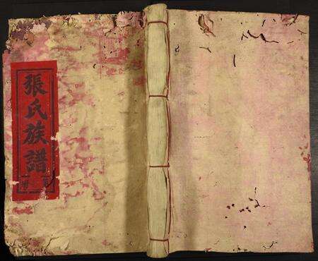 江西张氏族谱-张氏重修族谱.pdf电子版缩略图