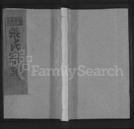 江西张氏族谱-清河张氏宗谱 [残卷].pdf电子版缩略图