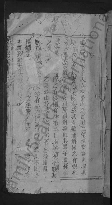 江西张氏族谱-清河张氏重修族谱 [不分卷].pdf电子版缩略图