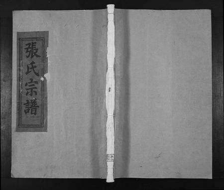 江西张氏族谱-纪钢张氏宗谱[25卷末1卷].pdf电子版缩略图