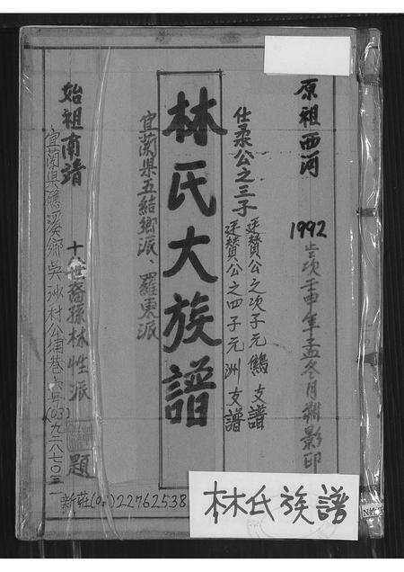 福建林氏族谱-林氏大族谱.pdf电子版缩略图